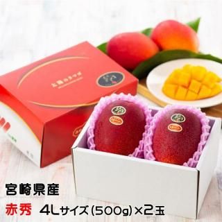 ޥ󥴡 ۤΥޥ ֽ 4L 500gʾ2 JAܺкϢ ܺ긩 ϥޥ󥴡 ۤΤޤ ե 󤻥4ܤ缡ȯ