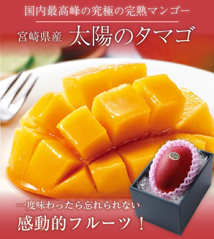 コアラ　宮崎県産 【太陽のタマゴ】5L コアラ 宮崎県産 【太陽のタマゴ】5L 宮崎完熟マンゴー ”太陽の