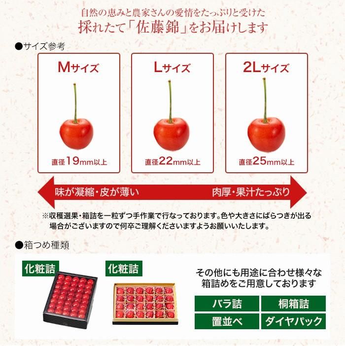 さくらんぼ 佐藤錦 手詰め 秀品 2L～Lサイズ 300g 化粧箱 さとう