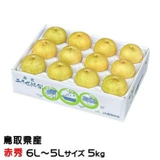  20 ֽ 6L5L 810 5kg Ļ踩 ʤ ʥ 9ܤ缡ȯ