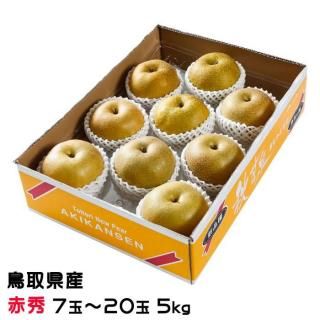   󤻤 ֽ 7̡20 5kg Ļ踩 ʥ ʤ  ʼ9ܤ缡ȯ