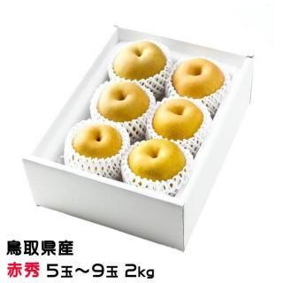   󤻤 ֽ 5̡9 2kg Ļ踩 ʥ ʤ  ʼ9ܤ缡ȯ