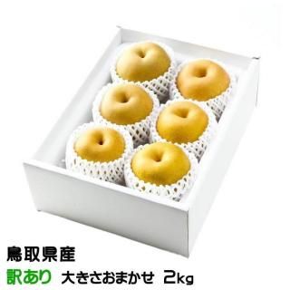   󤻤 ä 礭ޤ 2kg Ļ踩 ʥ ʤ  ʼ9ܤ缡ȯ