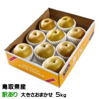   󤻤 ä 礭ޤ 5kg Ļ踩 ʥ ʤ  ʼ9ܤ缡ȯ