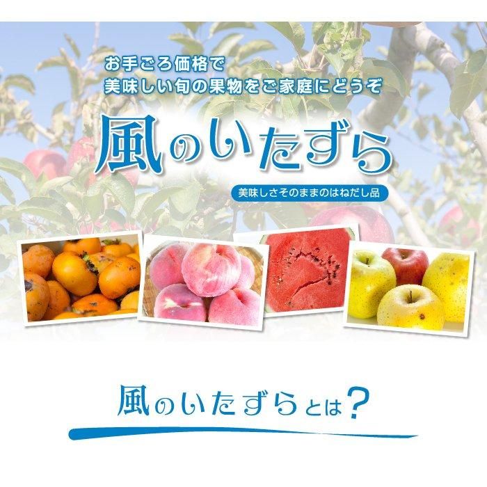 お歳暮 梨 あたご梨 風のいたずら 訳あり 大きさおまかせ 4kg 岡山県産 Jaおかやま 愛宕梨 ナシ なし 11月下旬より順次発送 はちやフルーツ