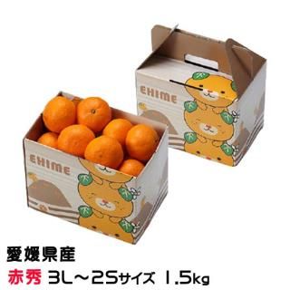  ߤ ϤҤ ֽ 3L2S 1.5kg ߤȢ ɲ JAҤ ̾ ߥ ̪ 12ܤ缡ȯ