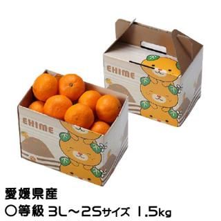 みかん はれひめ 〇等級 3L～2Sサイズ 1.5kg みきゃん箱入り