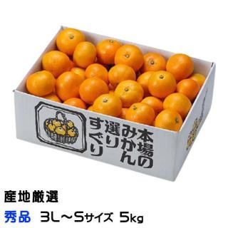 <img class='new_mark_img1' src='https://img.shop-pro.jp/img/new/icons1.gif' style='border:none;display:inline;margin:0px;padding:0px;width:auto;' />みかん 温州みかん 産地厳選 秀品 3L〜Sサイズ 5kg お取り寄せ 【10月上旬より順次発送】
