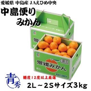 <img class='new_mark_img1' src='https://img.shop-pro.jp/img/new/icons1.gif' style='border:none;display:inline;margin:0px;padding:0px;width:auto;' />みかん 中島便りみかん 青秀 2L〜2Sサイズ 3kg 糖度12度以上 度以上 愛媛県 中島産 JAえひめ中央 中島選果場  【11月中旬より順次発送】