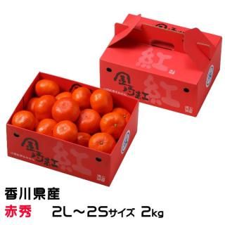  ߤ Ȥߤ ֽ 2L2S 2kg  󤻡11ܤ缡ȯ