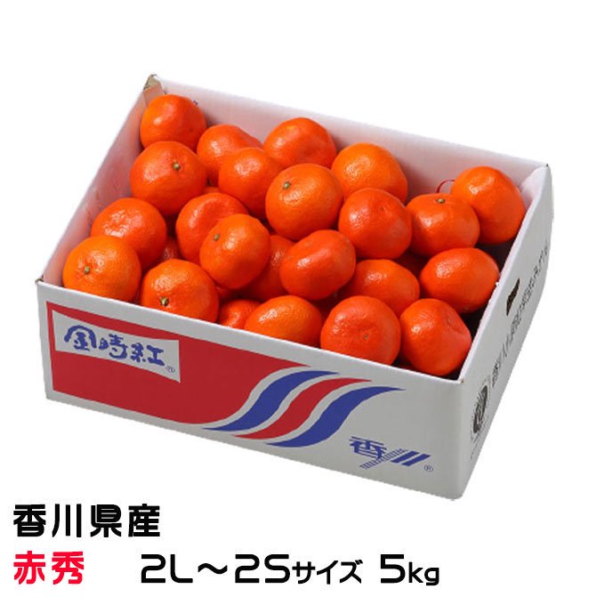 お歳暮 みかん 金時紅みかん 赤秀 L～Sサイズ 5kg 香川県産 お取り寄せ 【12月上旬より順次発送】 - はちやフルーツ