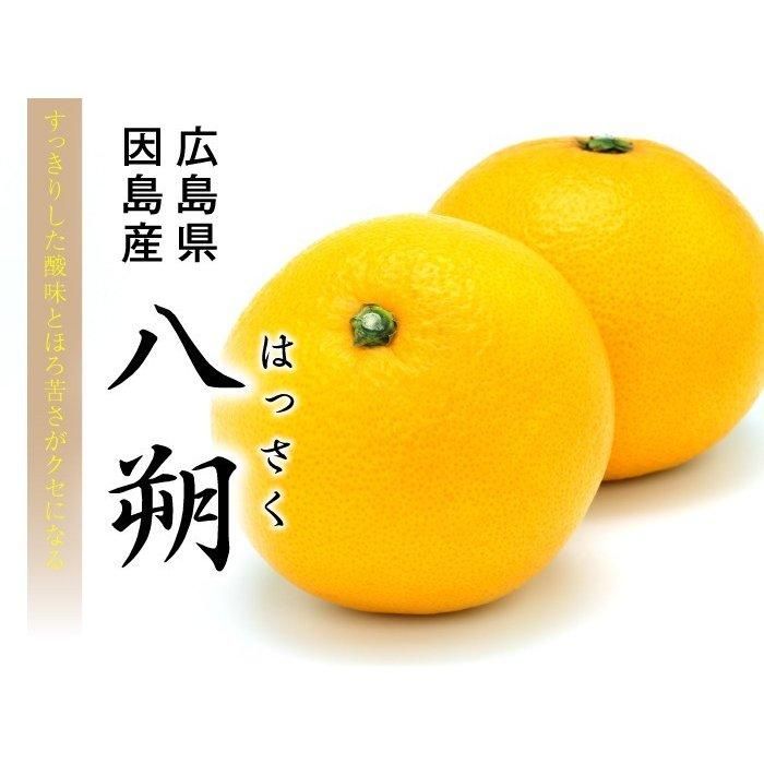 八朔 はっさく 青秀 3L～L 25～35玉 10kg 広島県産 JA尾道市 因島選果