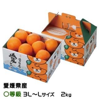 三重県産 尾呂志柑橘生産組合 サンフルーツ 青秀 約4.5キロ L