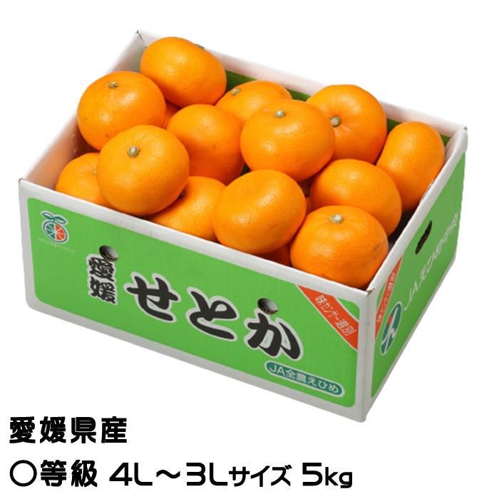 みかん せとか ◯等級 4L～3Lサイズ 5kg 愛媛県産 ＪＡえひめ中央 中島 