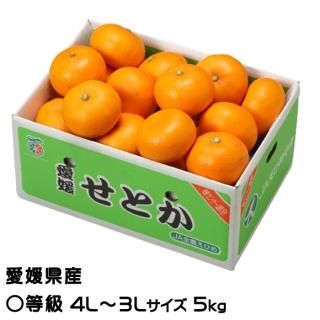 せとか - はちやフルーツ