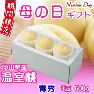 ٤Ƥ  2023   ϤȤ Ľ 3 600g  ʣ  515ʹ߽缡ȯջԲġˡ