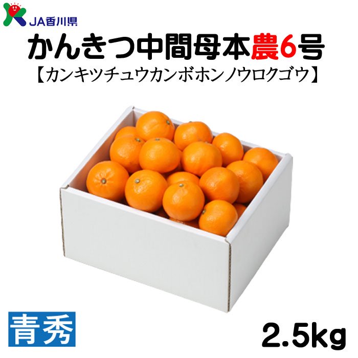 みかん かんきつ中間母本農6号 青秀 2.5kg JA香川県 ミカン ギフト【3 