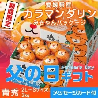 <img class='new_mark_img1' src='https://img.shop-pro.jp/img/new/icons1.gif' style='border:none;display:inline;margin:0px;padding:0px;width:auto;' />٤Ƥ  2025 Ͻդߤ ޥ ߤѥå Ľ 2LS 2kg 1530616缡ȯޤջԲġˡ
