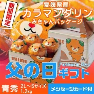 <img class='new_mark_img1' src='https://img.shop-pro.jp/img/new/icons1.gif' style='border:none;display:inline;margin:0px;padding:0px;width:auto;' />٤Ƥ  2025 Ͻդߤ ޥ ߤѥå Ľ 2LS 1.2kg 815616缡ȯޤջԲġˡ

