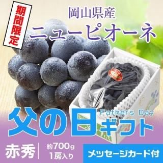 <img class='new_mark_img1' src='https://img.shop-pro.jp/img/new/icons1.gif' style='border:none;display:inline;margin:0px;padding:0px;width:auto;' />٤Ƥ  2025 ˥塼ԥ ֽ 700g1˼  ʣ ƺ ֤ɤ ֥ɥ ե ץ쥼ȡ616缡ȯޤջԲġˡ
