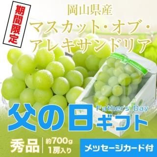 <img class='new_mark_img1' src='https://img.shop-pro.jp/img/new/icons1.gif' style='border:none;display:inline;margin:0px;padding:0px;width:auto;' />٤Ƥ  2025 ޥåȥ֥쥭ɥꥢ ֽ 700g1˼  ʣޡ616缡ȯޤջԲġˡ

