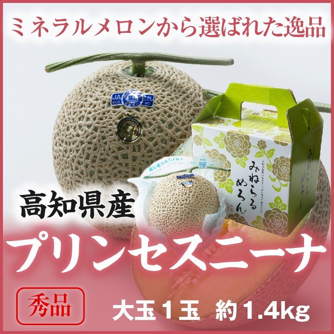 メロン プリンセスニーナ 秀品 1.4kg×１玉 アールスメロン 高知県産 JA高知県 - はちやフルーツ