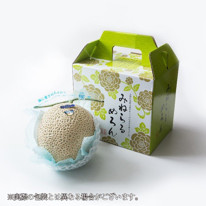 お歳暮 メロン プリンセスニーナ 秀品 1.4kg×１玉 アールスメロン 高知