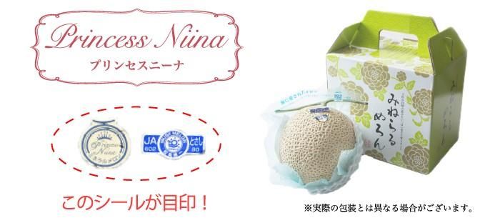メロン花梨 メロン プリンセスニーナ 秀品 1.4kg×1玉 アールスメロン 高知