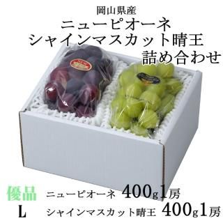渵 ֤ɤ ͤ碌 ͥ L ˥塼ԥ 400g1˼ 㥤ޥå 400g1˼ 7ܤ缡ȯ