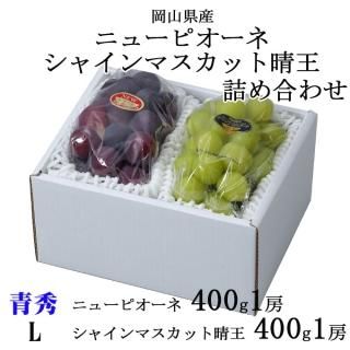 渵 ֤ɤ ͤ碌 Ľ L ˥塼ԥ 400g1˼ 㥤ޥå 400g1˼ 7ܤ缡ȯ
