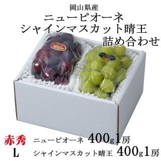 渵 ֤ɤ ͤ碌 ֽ L ˥塼ԥ 400g1˼ 㥤ޥå 400g1˼ 7ܤ缡ȯ