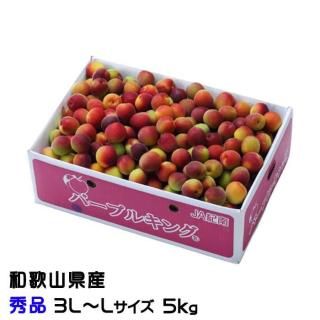 <img class='new_mark_img1' src='https://img.shop-pro.jp/img/new/icons13.gif' style='border:none;display:inline;margin:0px;padding:0px;width:auto;' /> ѡץ륭  3LL 5kg  ²λ ʣ   ѡץ  6ܤ缡ȯ