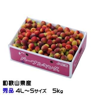 <img class='new_mark_img1' src='https://img.shop-pro.jp/img/new/icons13.gif' style='border:none;display:inline;margin:0px;padding:0px;width:auto;' /> ѡץ륭  4LS 5kg  ²λ ʣ   ѡץ  6ܤ缡ȯ