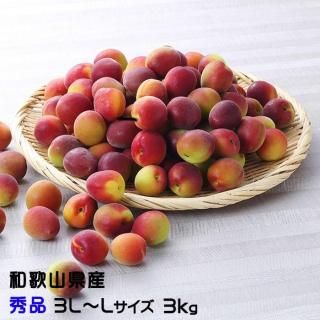 <img class='new_mark_img1' src='https://img.shop-pro.jp/img/new/icons13.gif' style='border:none;display:inline;margin:0px;padding:0px;width:auto;' /> ѡץ륭  3LL 3kg  ²λ ʣ   ѡץ  6ܤ缡ȯ