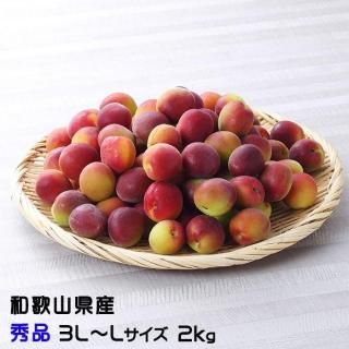 <img class='new_mark_img1' src='https://img.shop-pro.jp/img/new/icons13.gif' style='border:none;display:inline;margin:0px;padding:0px;width:auto;' /> ѡץ륭  3LL 2kg  ²λ ʣ   ѡץ  6ܤ缡ȯ