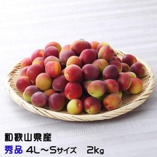 <img class='new_mark_img1' src='https://img.shop-pro.jp/img/new/icons13.gif' style='border:none;display:inline;margin:0px;padding:0px;width:auto;' /> ѡץ륭  4LS 2kg  ²λ ʣ   ѡץ  6ܤ缡ȯ