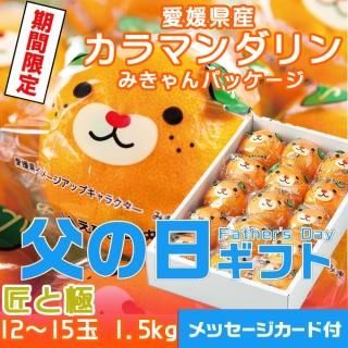 <img class='new_mark_img1' src='https://img.shop-pro.jp/img/new/icons1.gif' style='border:none;display:inline;margin:0px;padding:0px;width:auto;' />٤Ƥ  2025 Ͻդߤ ޥ ߤ ȶ 12̡15 1.5kg ɲ ʣҤ617ʹߤˤϤޤջԲġˡ
