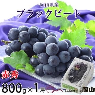 ֤ɤ ֥åӡ ֽ 800g 1˼  ʣ ե ƺ ֥ɥ 7ܤ缡ȯ