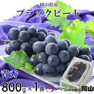 ֤ɤ ֥åӡ Ľ 800g 1˼  ʣ ե ƺ ֥ɥ 7ܤ缡ȯ