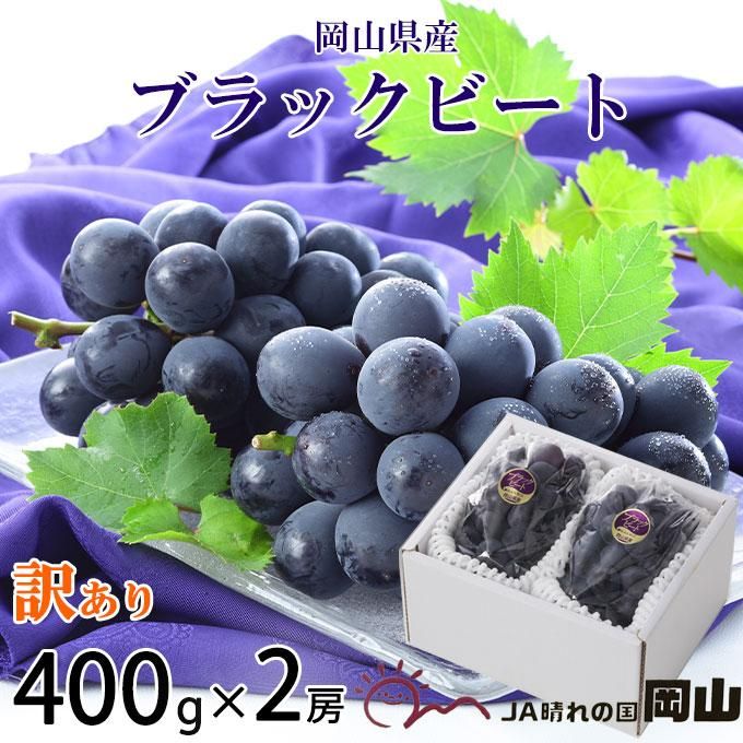 ぶどう ぶどう ブラックビート 風のいたずら ちょっと訳あり 400g×2房