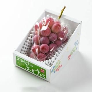 <img class='new_mark_img1' src='https://img.shop-pro.jp/img/new/icons1.gif' style='border:none;display:inline;margin:0px;padding:0px;width:auto;' />渵 ֤ɤ ˡ ͥ 600g1˼  ʣ ƺ ֥ɥ 7ܤ缡ȯ