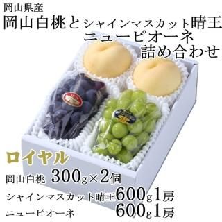 渵  ֤ɤ ͤ碌   3L  300g2 㥤ޥå 600g1˼ ˥塼ԥ 600g1˼  å 7ܤ缡ȯ
