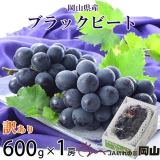 ֤ɤ ֥åӡ Τ ä 600g1˼  ʣ ե ƺ ֥ɥ 7ܤ缡ȯ