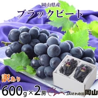 ֤ɤ ֥åӡ Τ ä 600g2˼  ʣ ե ƺ ֥ɥ 7ܤ缡ȯ