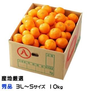 <img class='new_mark_img1' src='https://img.shop-pro.jp/img/new/icons1.gif' style='border:none;display:inline;margin:0px;padding:0px;width:auto;' />みかん 温州みかん 産地厳選 秀品 3L〜Sサイズ 10kg お取り寄せ 【10月上旬より順次発送】