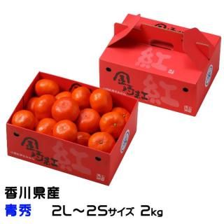  ߤ Ȥߤ Ľ 2L2S 2kg  󤻡11ܤ缡ȯ