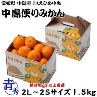 <img class='new_mark_img1' src='https://img.shop-pro.jp/img/new/icons1.gif' style='border:none;display:inline;margin:0px;padding:0px;width:auto;' />みかん 中島便りみかん 青秀 2L〜2Sサイズ 1.5kg みきゃん箱入り 糖度12度以上 愛媛県 中島産 JAえひめ中央 中島選果場  【11月中旬より順次発送】