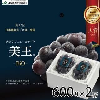 <img class='new_mark_img1' src='https://img.shop-pro.jp/img/new/icons1.gif' style='border:none;display:inline;margin:0px;padding:0px;width:auto;' />֤ɤ  Ӥ 600g2˼ Ӥۤ ˥塼ԥ ƺ ֥ɥ 10ܤ缡ȯ