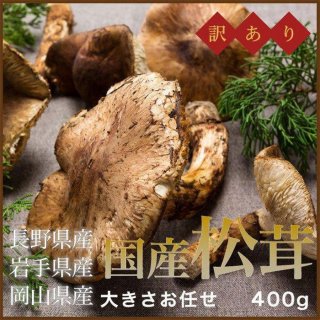  ŷ ޤĤ   ܻ ϸ  礭ޤ 400g10ܤ缡ȯ