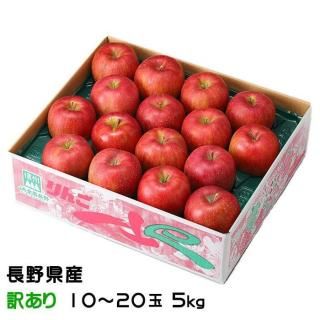  ʥΥ Τ ä 1020 5kg Ĺ ⻳䤫 Ӹ  10ܤ缡ȯ
